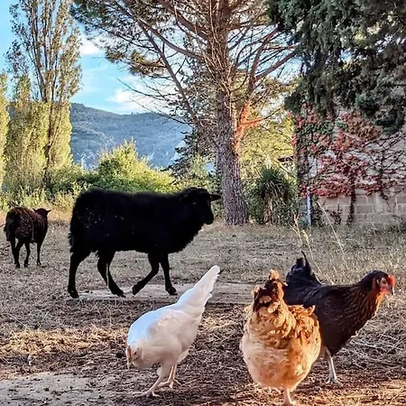 Сasa de vacaciones à La Ferme Avec Piscine Ou Jacuzzi Privé Billard *