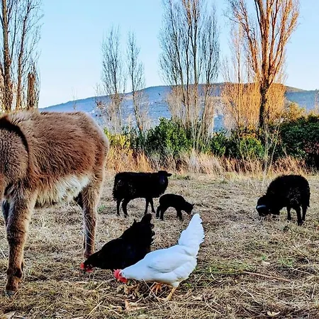 Prázdninový dům A La Ferme Avec Cheminee, Billard, Baby-foot, Boulodrome, Aire De Jeux, Piscine Chauffee Floure