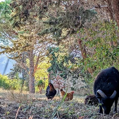 A La Ferme Avec Piscine Ou Jacuzzi Prive Billard Floure